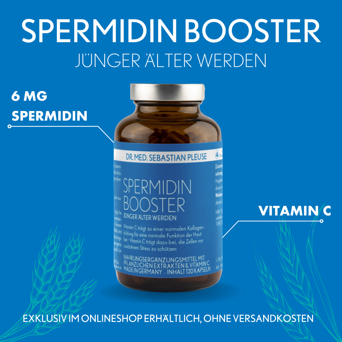 Spermidin Booster mit 6 mg Spermidin von Dr. med. Sebastian Pleuse - Zur Unterstützung der ...
